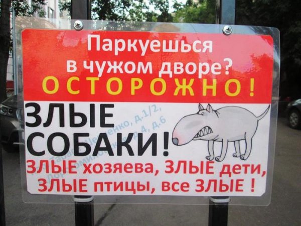 Прикольные картинки