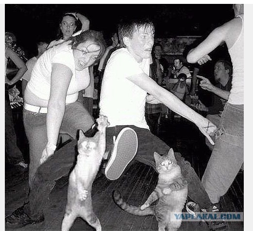 AC/DC. Вжарим рок в этой дыре!