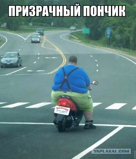 15 картинок с тЫрнета