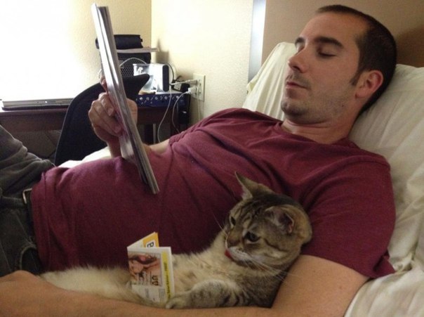 Разные картинки