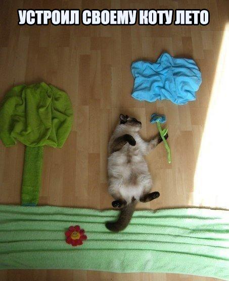 Картинки разные 2