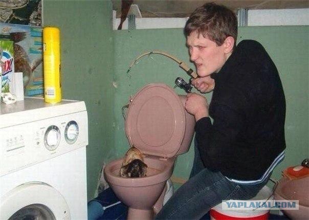 Ужасы и приколы, говорите?