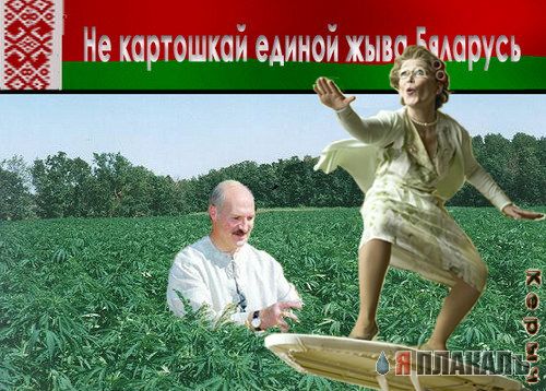 Бабка серфингист, бабка и гладильная доска
