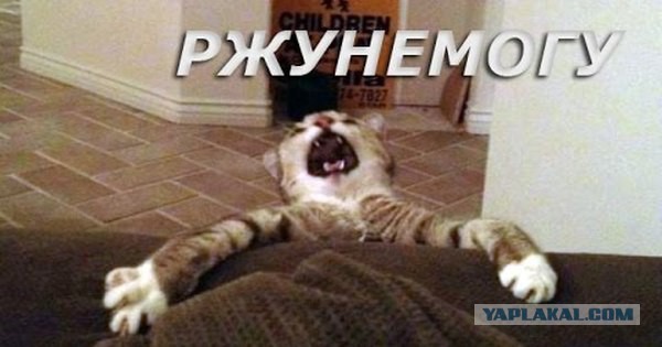 Актера Валерий Николаев сбежал из суда.