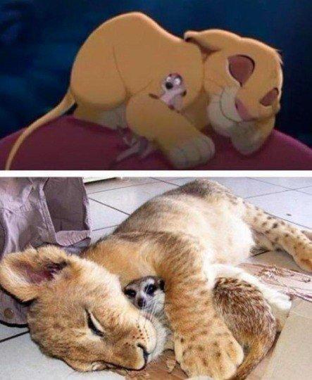 Подборка картинок на среду