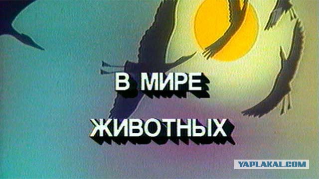 Эпичнейшая битва!