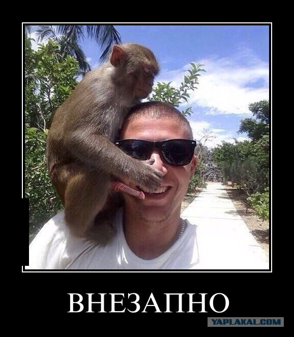 Дерьмо случается