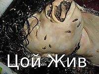 Градский о Викторе Цое