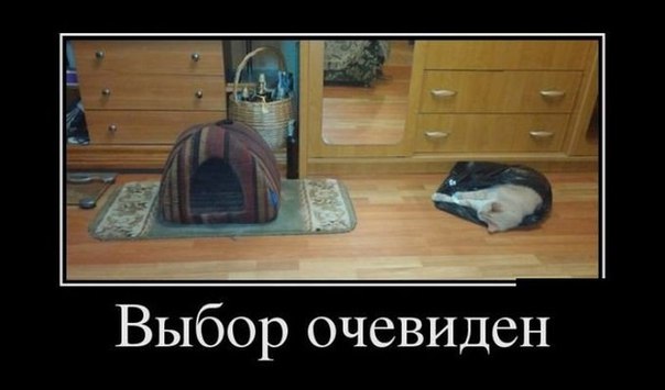 Мохнатые беспредельщики