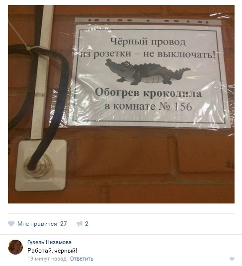 Ужасы и приколы из соцсетей 18+
