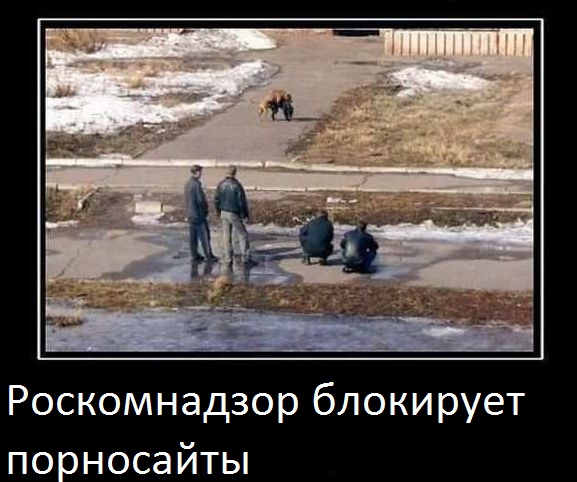 «Я не верю, что порно вредит людям»: как устроен Pornhub