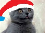 Яповцы, оновогоживайтесь!