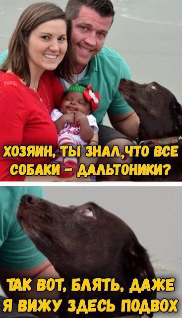 Странный юмор