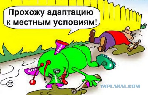 В начале ноября пришельцы активизируются и атакуют Северную Америку
