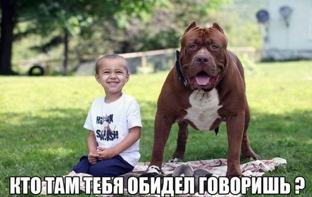 Нестандартный юмор