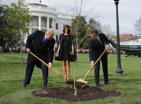 "Особенные отношения": Трамп стряхнул перхоть с Макрона