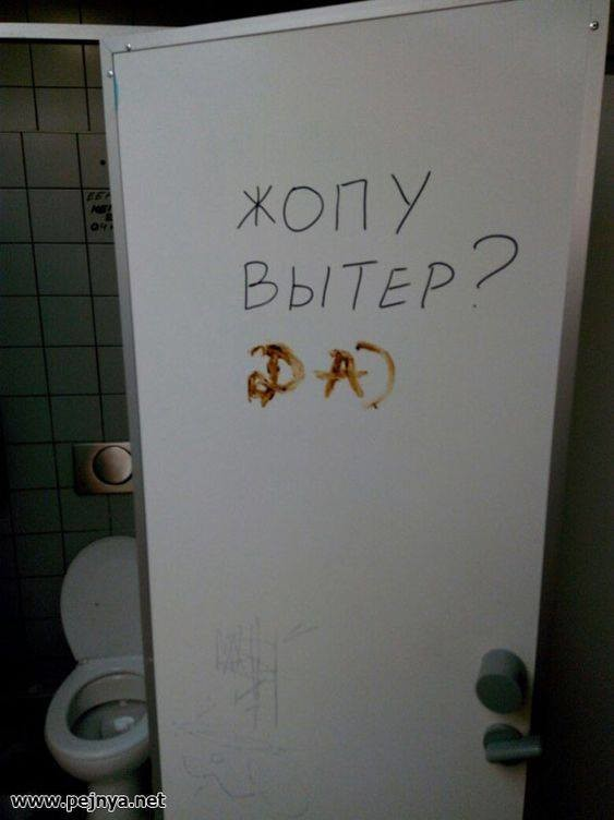 Привёл в дом засранку