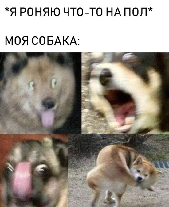 Нестандартный юмор