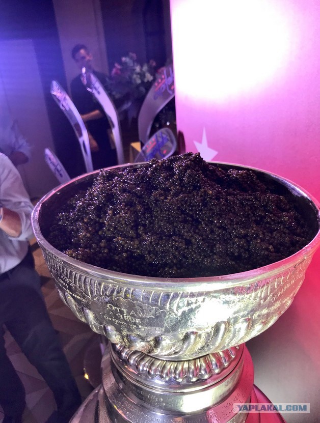 Погоня пограничников за браконьерами