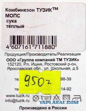 Суслик, сука, наглый!