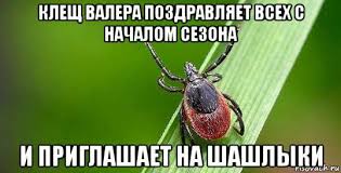 Решили пожарить шашлычка на выходных