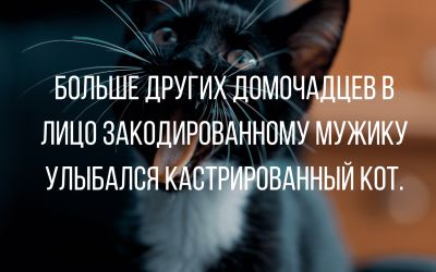 Анекдоты, истории и картинки с надписями