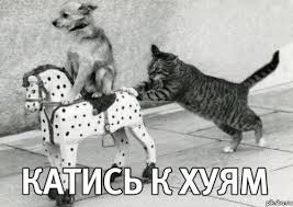 Таиланд НЕ рай для Кладоискателя! Озеро Чео Лан. В поисках золота!