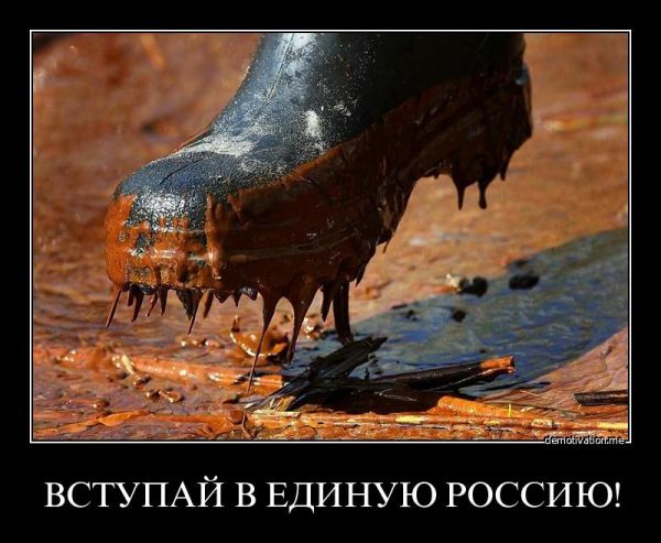 Вы не ходите на выборы? Прочитайте!