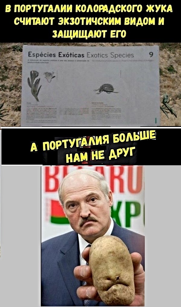 Картинки с надписями 31.07.19