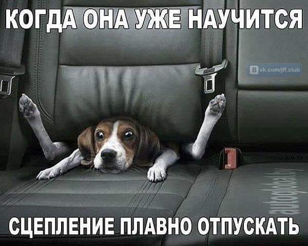Не очень адекватный юмор