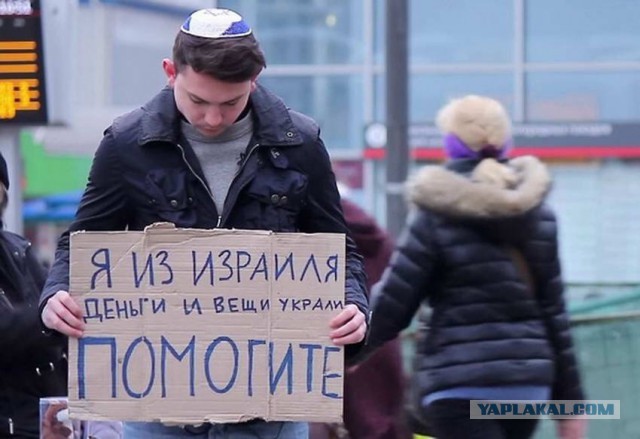 Помогите жуликам вернуться домой