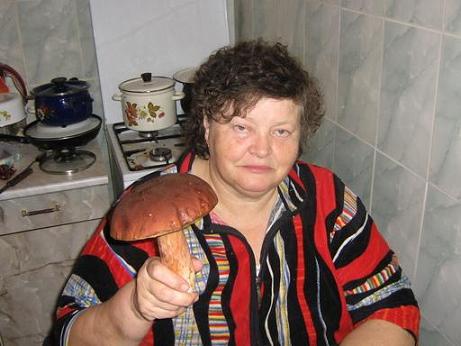Фотожаба: Грибы на ноутбуке