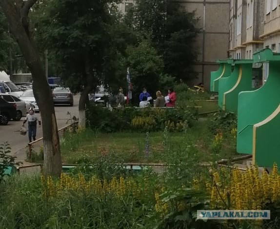 В Перми голосование по поправкам в Конституцию устроили на двух табуретках