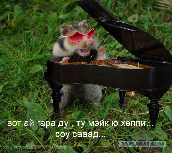 Сдаюсь!