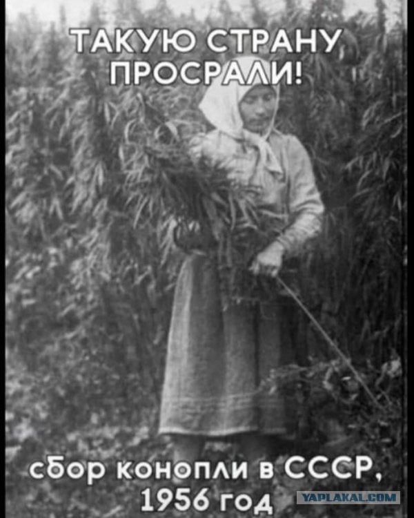 Прикольные и просто красивые картинки 26.10.2020