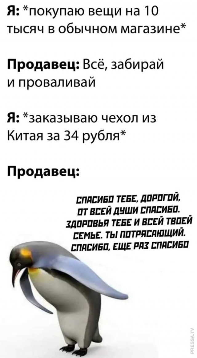 Немного картинок для настроения 16.11.20