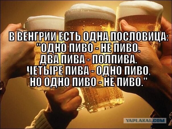 Кретинизмы из сети 30.12.2020. На грани фола