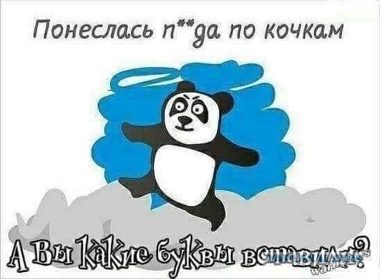 Панда: Почему они добрые и ленятся размножаться, ведь это противоречит всем законам природы