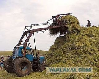Прыжки из окна
