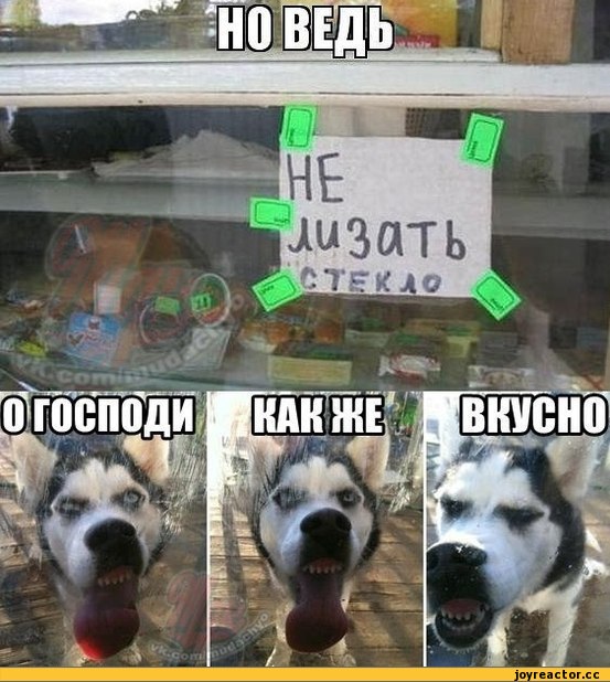 Что с вами будет, если покурите сальвию