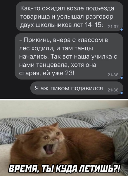 Алкопост 12.11.21