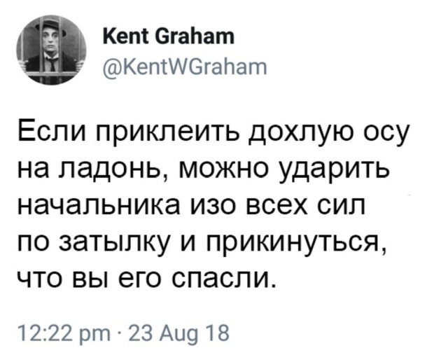 Всяческие картинки 17.11.2021