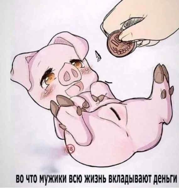 Разные картинки для настроения на любой вкус -11