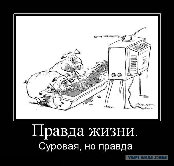 Я прошу меня не провоцировать