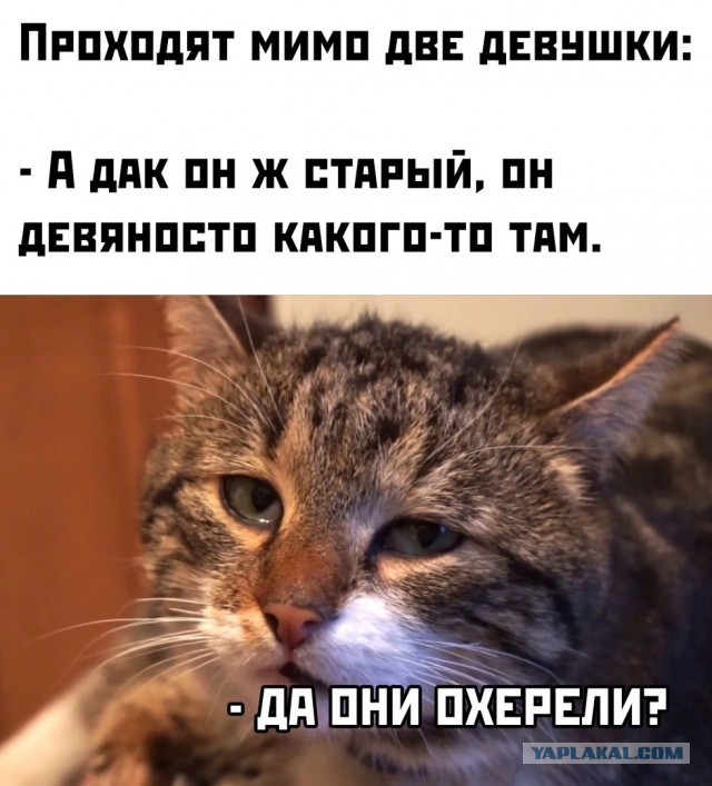 Баянисто-небаянистый юмор 7.02.22