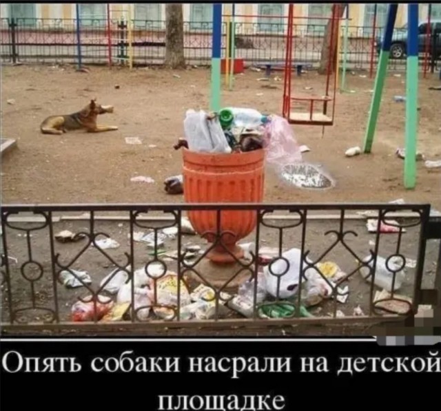 Так себе картинки 28.04.22