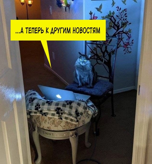 Немного картинок и прочей хреноты Vol. 15