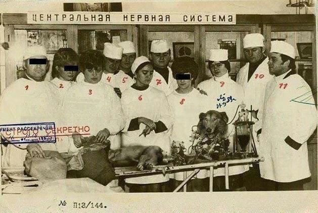 Картинки разные 07.06.22