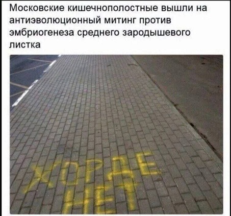 Подобное я уже видел, боян!