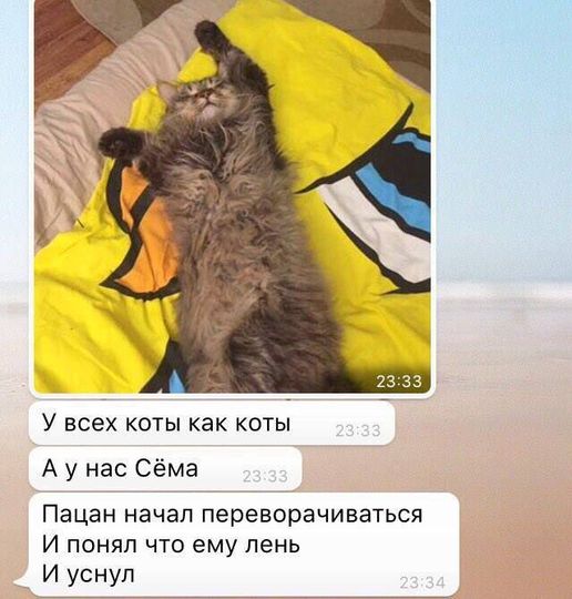 Так себе картинки 10.09.22
